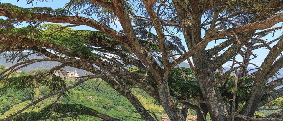 Palazzo Costa Otel Beverino Dış mekan fotoğraf